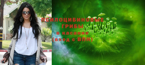 кристаллы Краснослободск