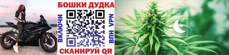 Купить где  Калязин  Канабис Amnesia 